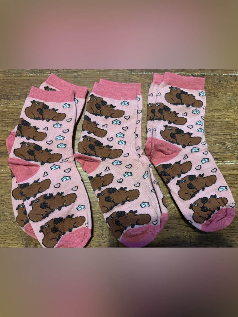 Pink capybara socks NEW includes three pairs